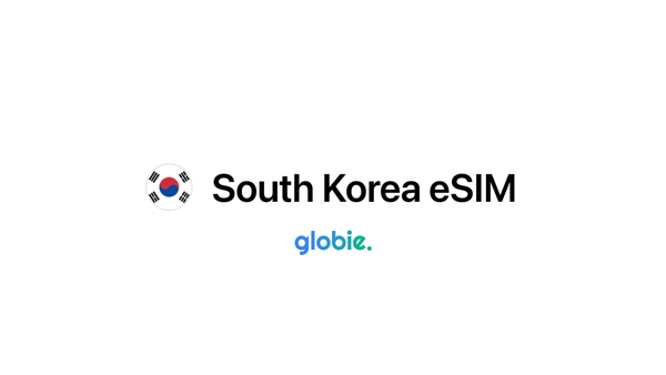 The Best eSIM for South Korea: Globie Vs. Nomad Vs. Airalo Vs. Saily