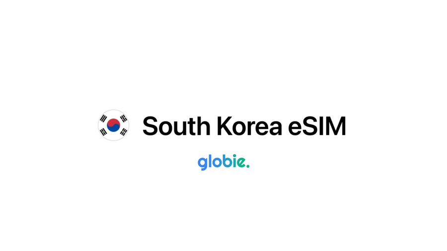 The Best eSIM for South Korea: Globie Vs. Nomad Vs. Airalo Vs. Saily
