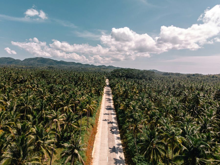 Best Places to Visit in Asia by Traveler Type