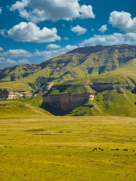 Lesotho