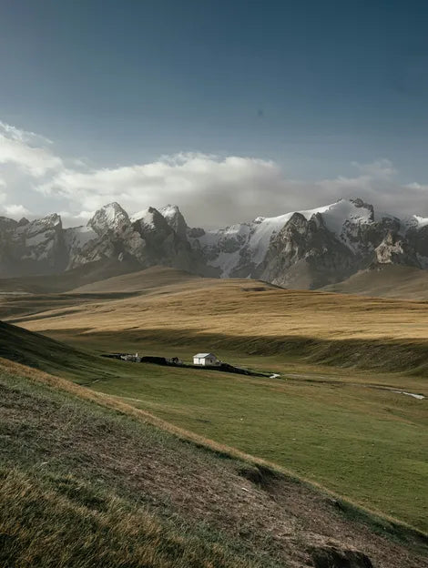 South & Central Asia